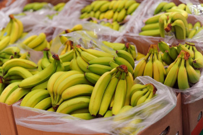 Ini Faktor Risiko dan Gejala Alergi Pisang